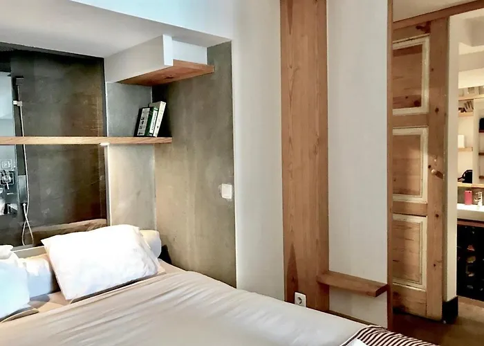 Apartament Center, Sun, Charm With Terrace And Fireplace *